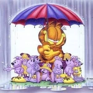 Meet your Posher, Libby